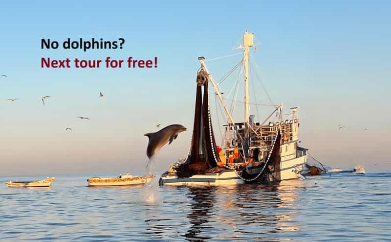 Billet Rovinj : Excursion en bateau à moteur pour observer les dauphins au lever du soleil et les pêcheurs au travail