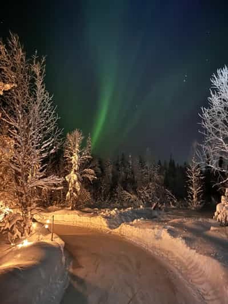 Billet Levi : patinage sur glace dans la forêt arctique de Lovimainas (1 km)