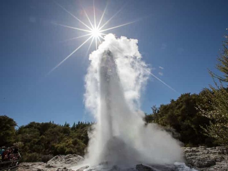 Billet Tauranga : Wai-o-Tapu avec promenade dans la forêt de séquoias ou spa forestier