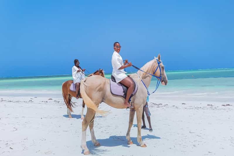 Billet Zanzibar : équitation et kayak avec vidéo et photos