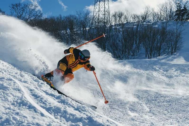 Billet Nagoya : excursion d'une journée à la station de ski de Dynaland