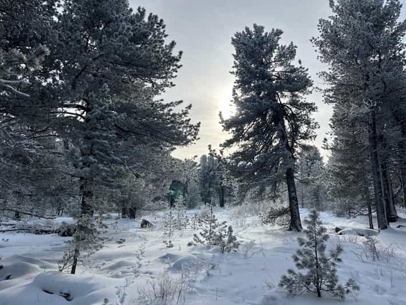 Billet Montagne Bogd Khan : randonnée au sommet du Tsetsee Gun et visite du monastère