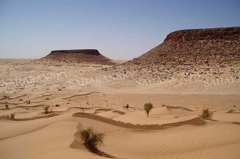 Billet Depuis Tozeur : Safari privé dans le désert du Sahara (nuit)