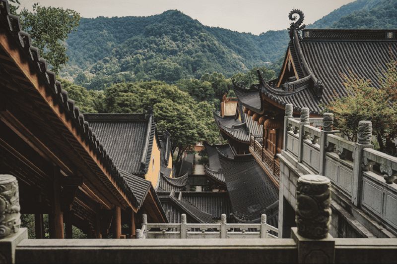 Billet Excursion privée d'une journée à Hangzhou en train Bullet au départ de Shanghai