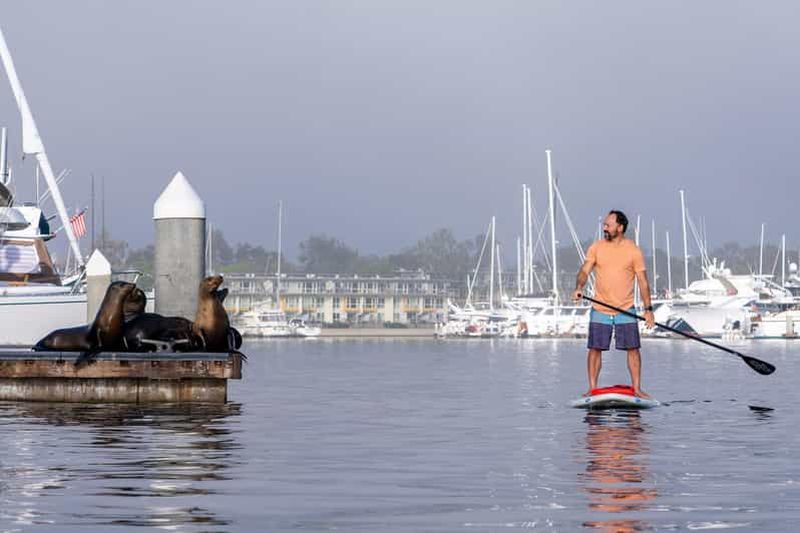 Billet Marina del Rey : visite guidée en kayak et paddle