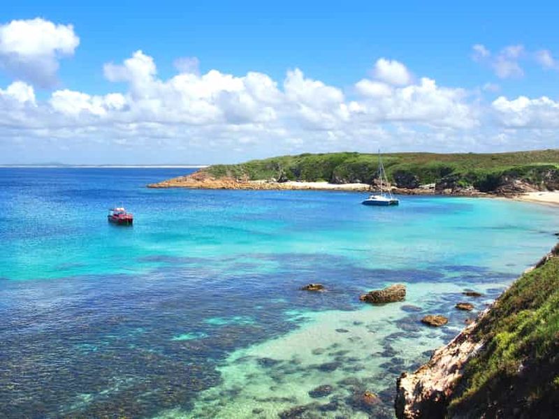 Billet Port Stephens : croisière aventure et snorkeling