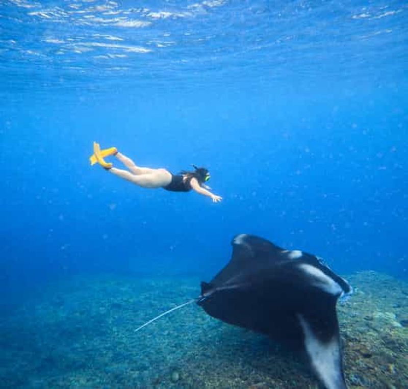 Billet Depuis Bali : plongée avec tuba à 3 sites avec GoPro et visite de l'ouest de Penida