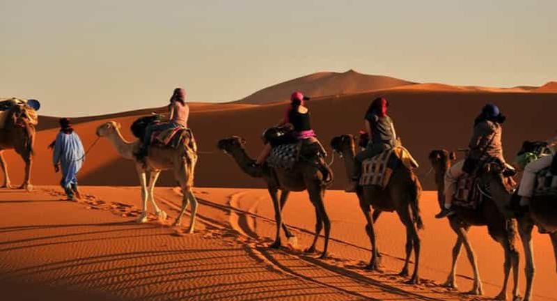 Billet Agadir : balade à dos de chameau, quad et sandboard dans les dunes de Timlalin