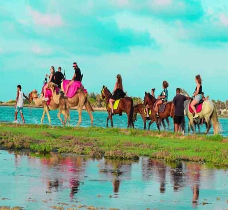 Billet Djerba : Aventure au lagon bleu avec balades à dos de chameau et à cheval