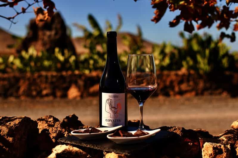 Billet Fuerteventura : dégustation de vin et escapade à El Cotillo