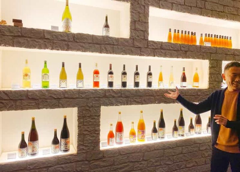 Billet Osaka : visite d'un domaine viticole local avec dégustation de vin