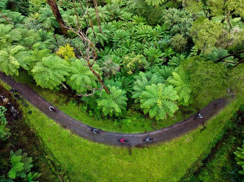 Billet Vallée de Yarra : aventure en VTT dans la forêt de séquoias