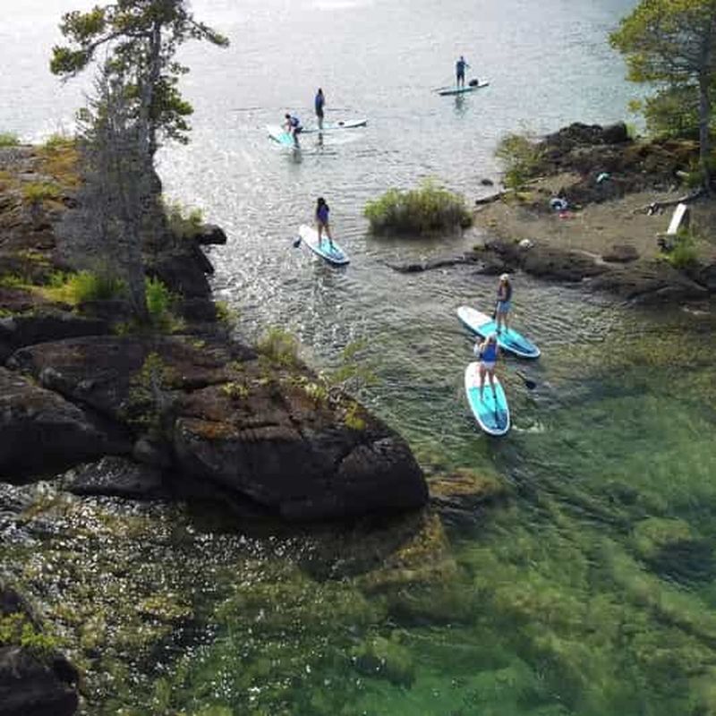 Billet Gordon Bay : excursion de 1,5 heure en paddleboard dans les îles de Gordon Bay