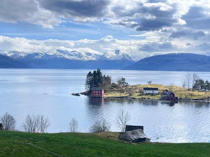 Billet Bergen : visite citadine et Hardangerfjord (excursion en bateau de croisière)