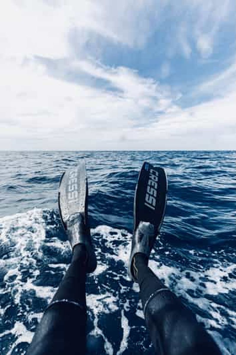 Billet Safari océanique à San Jose del Cabo