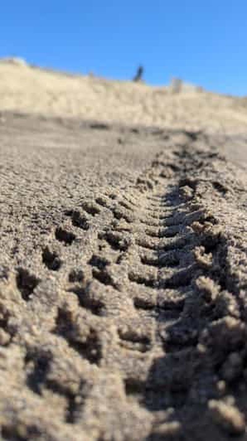 Billet Naujac sur mer&Hourtin: Tour en Forêts et Lacs en Vtt électrique avec guide