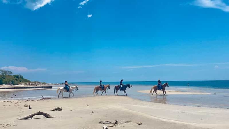 Billet Miami : Promenade à cheval sur la plage et sentier de découverte de la nature