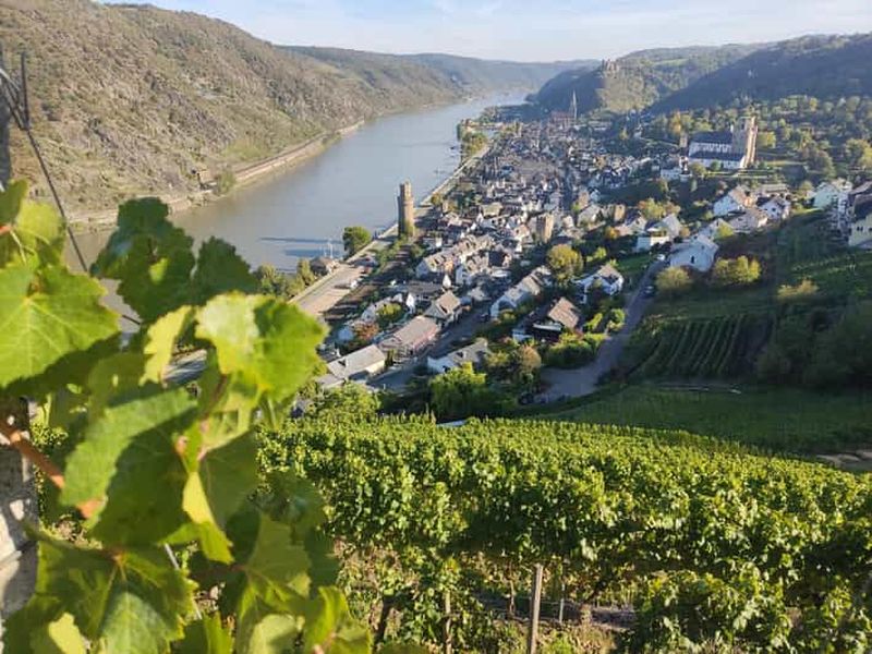 Billet Visite privée de la vallée du Rhin avec croisière fluviale et dégustation de vins