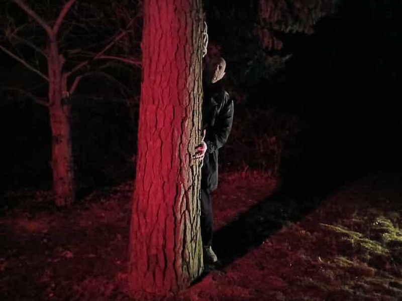 Billet Francfort : théâtre d'horreur avec visite guidée « La résurrection de Nosferatu »