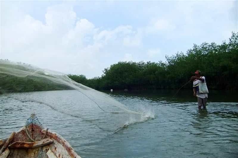 Billet Carthagène : visite du village de pêcheurs de La Boquilla avec cours de cuisine
