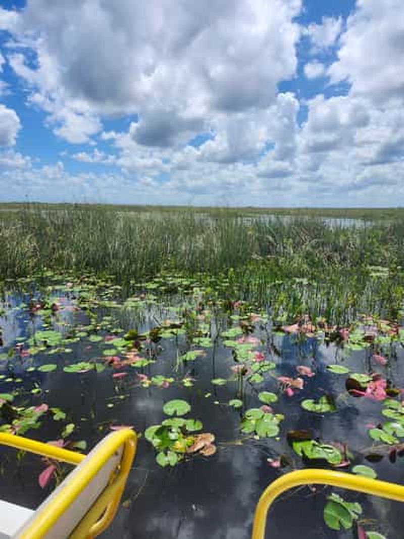 Billet Excursion écologique en hydroglisseur dans les Everglades et 2 îles privées