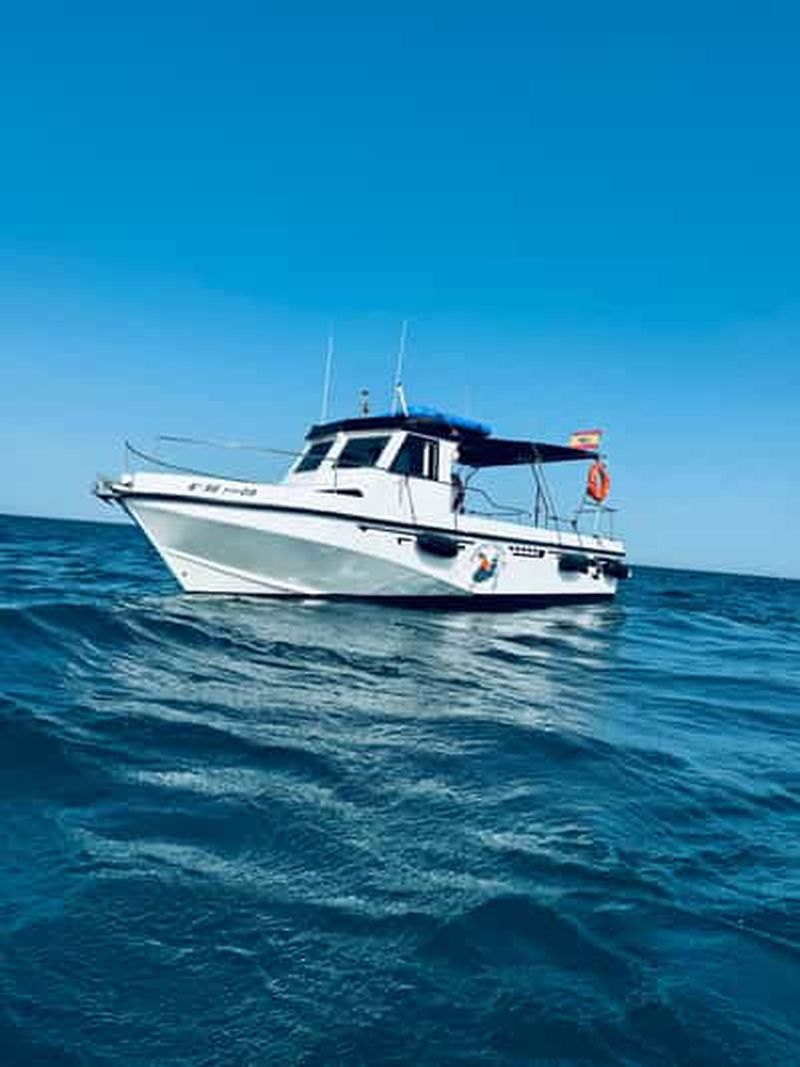 Billet Benalmádena : excursion privée en bateau – dauphins, boissons et collations