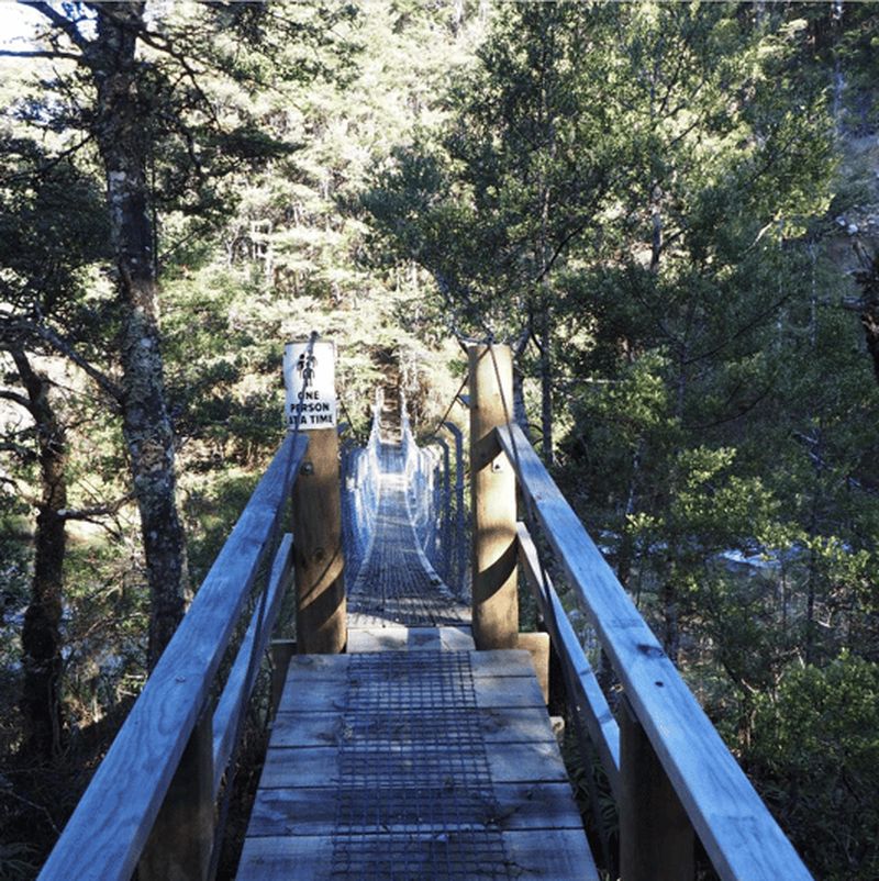 Billet Depuis Waikato : Kaimanawa Descent Heli-Hiking Adventure (descente en hélicoptère)