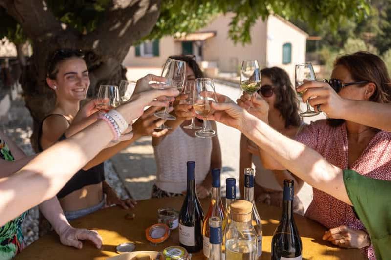 Billet Visite oenoludique - Le Pradet