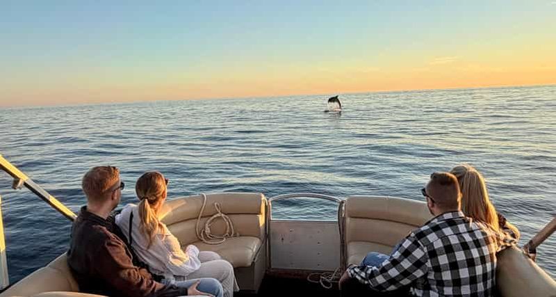 Billet Excursions privées en bateau à Porec : observation des dauphins, panorama