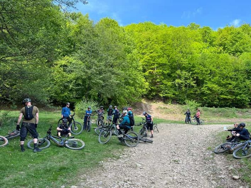 Billet Sibiu : Vallée de Hârtibaciu - Visite guidée complète en vélo électrique