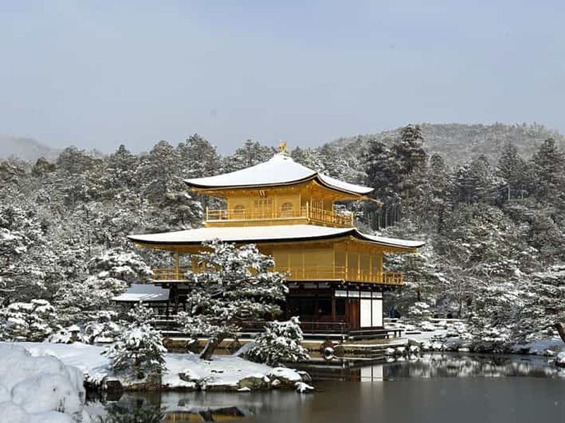 Billet Kyoto : visite privée du temple Kinkaku-ji et cérémonie du thé