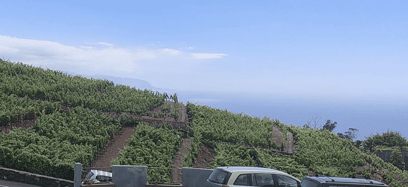 Billet Tenerife Vallée de l'Orotava : le vin, produit des héros - vin et histoire