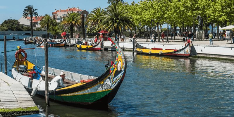 Billet Depuis Porto : Excursion d'une journée à Coimbra et Aveiro avec tour en bateau