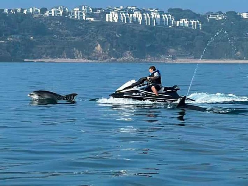 Billet Jersey : excursion en jet-ski sur la côte sud-ouest depuis St. Aubin