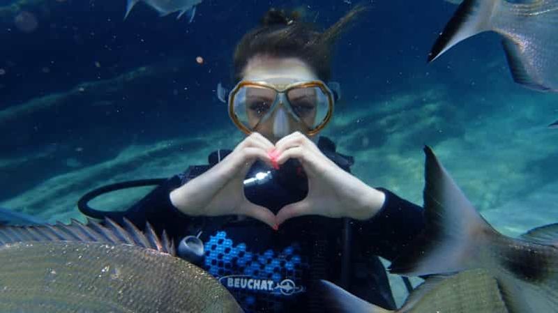 Billet Icmeler : Plongée sous-marine avec un instructeur qualifié