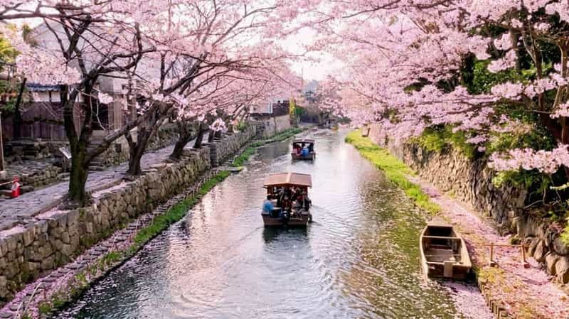 Billet Kyoto : fleurs de cerisier et croisière sur les canaux d'Omihachiman