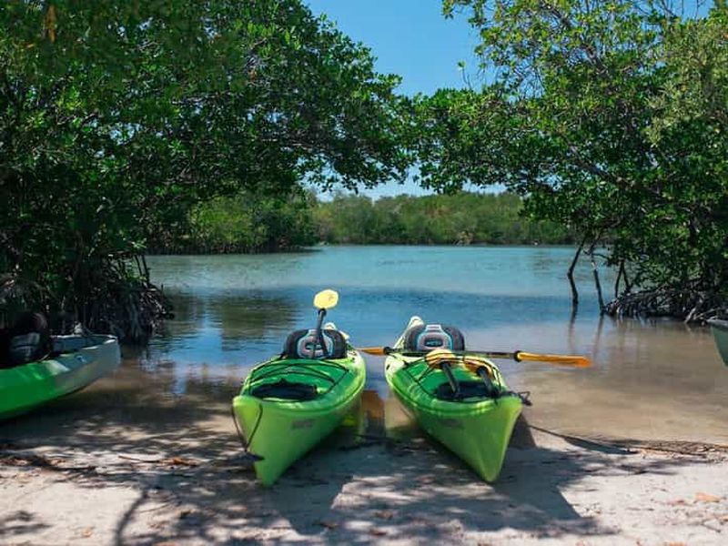 Billet Miami : visite guidée en paddle du parc d'État de l'Oleta River