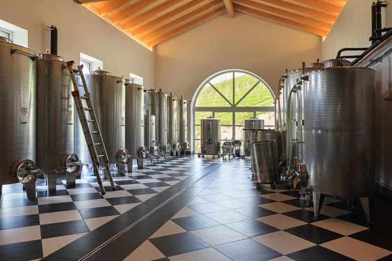 Billet Langhe : visite privée et dégustation de vins avec un sommelier local