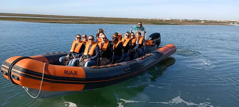 Billet Au départ de Faro : excursion en hors-bord pour observer la faune et les dauphins