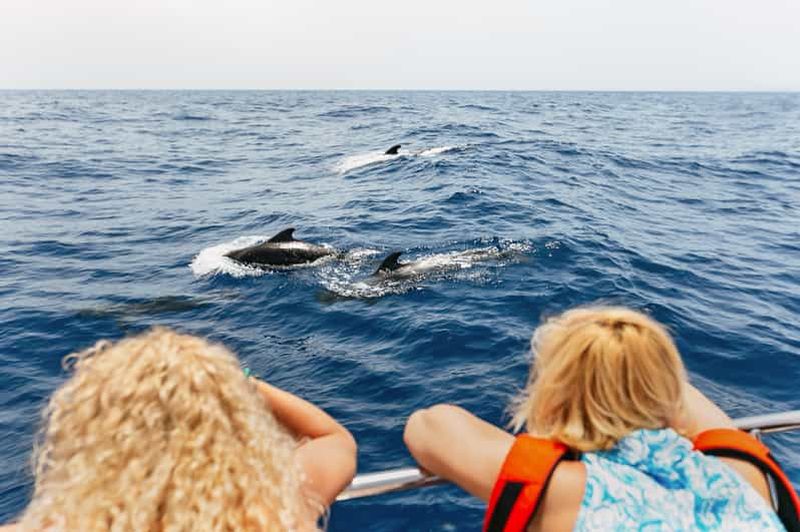 Billet Costa Adeje : Observation des baleines en catamaran avec boissons