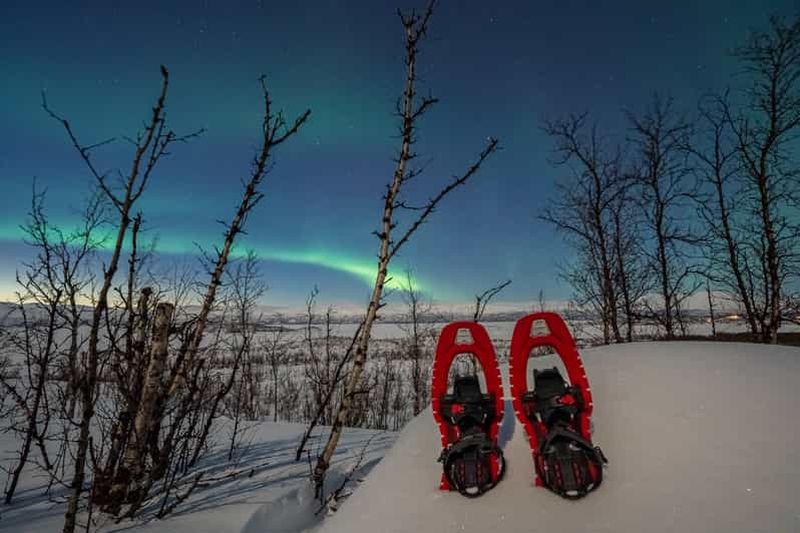 Billet Abisko : Raquettes à neige Aurora