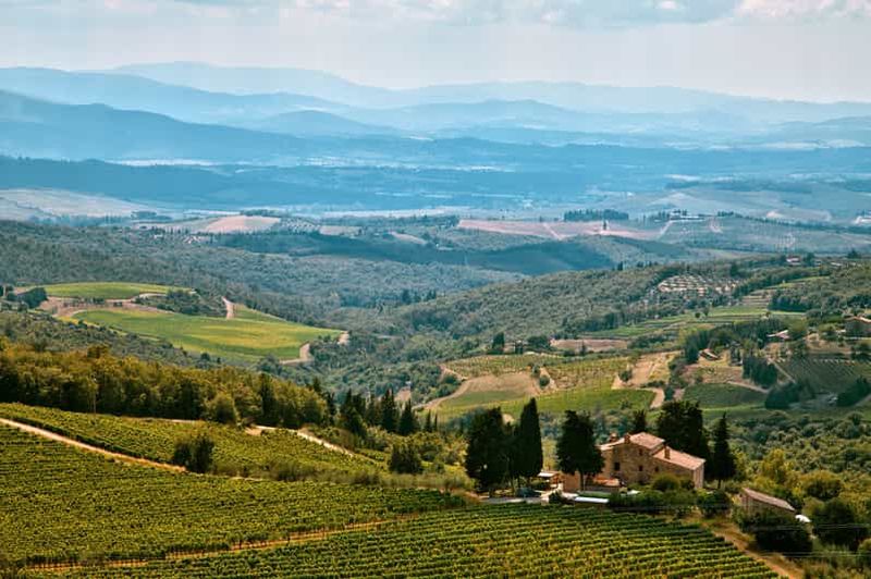 Billet Vallée de Napa : Visite de la vallée de Napa en avion