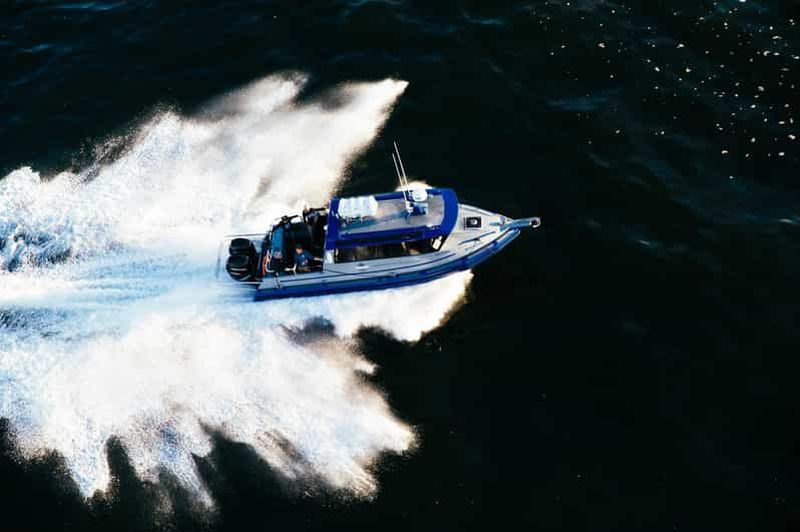 Billet Tofino : excursion hivernale en bateau couvert pour observer la faune sauvage
