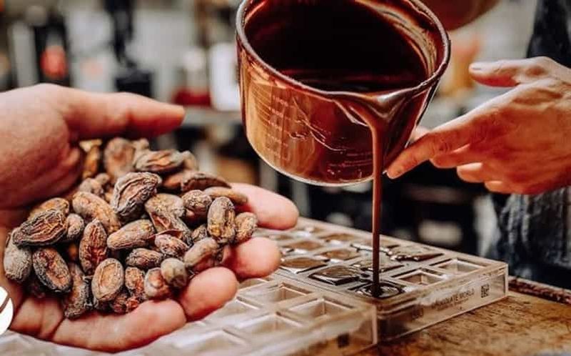 Billet Visite de l'expérience du cacao