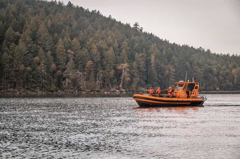 Billet Nanaimo : Tour en bateau pour l'observation des baleines