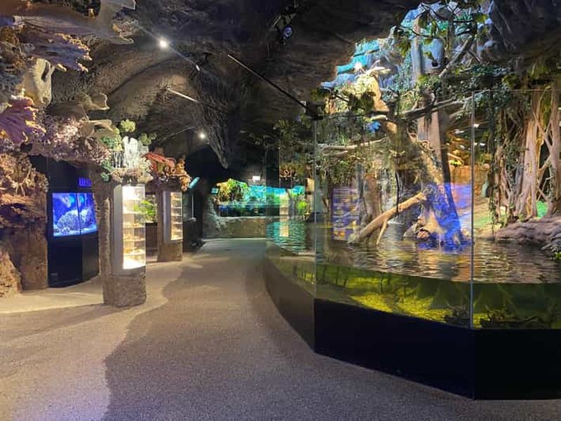 Billet Stockholm : Billet d'entrée pour l'Aquarium de Skansen