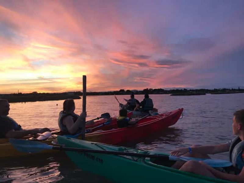 Billet Montpellier : observation des oiseaux en kayak en Camargue
