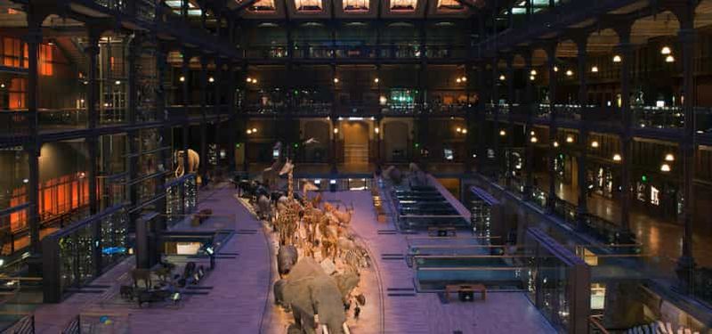 Billet Paris : billet d'entrée pour la Grande Galerie de l'Évolution