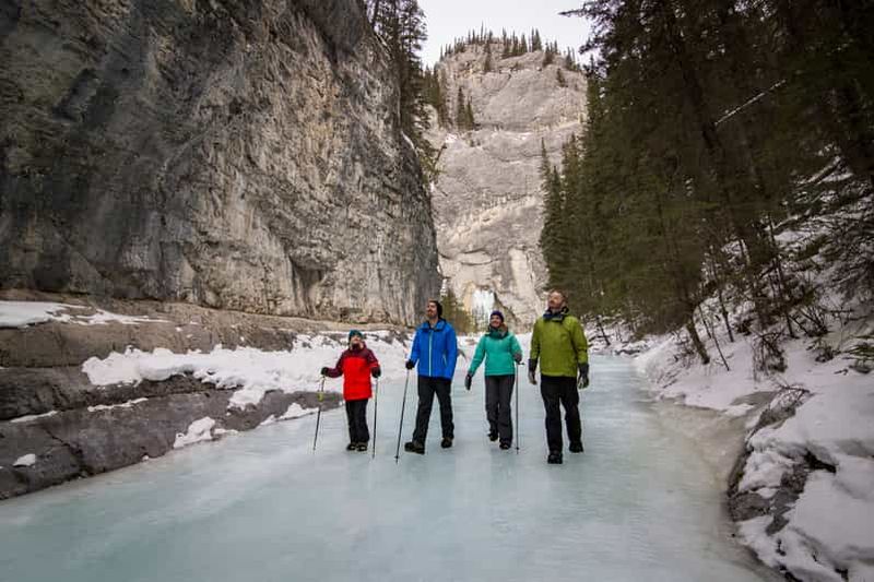Billet Banff : Promenade sur glace au canyon Grotto