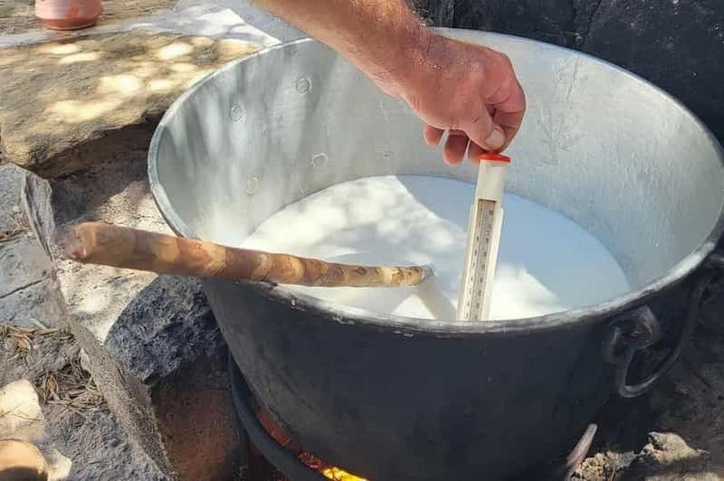 Billet Expérience privée de 6 heures autour du fromage et du vin à Naxos